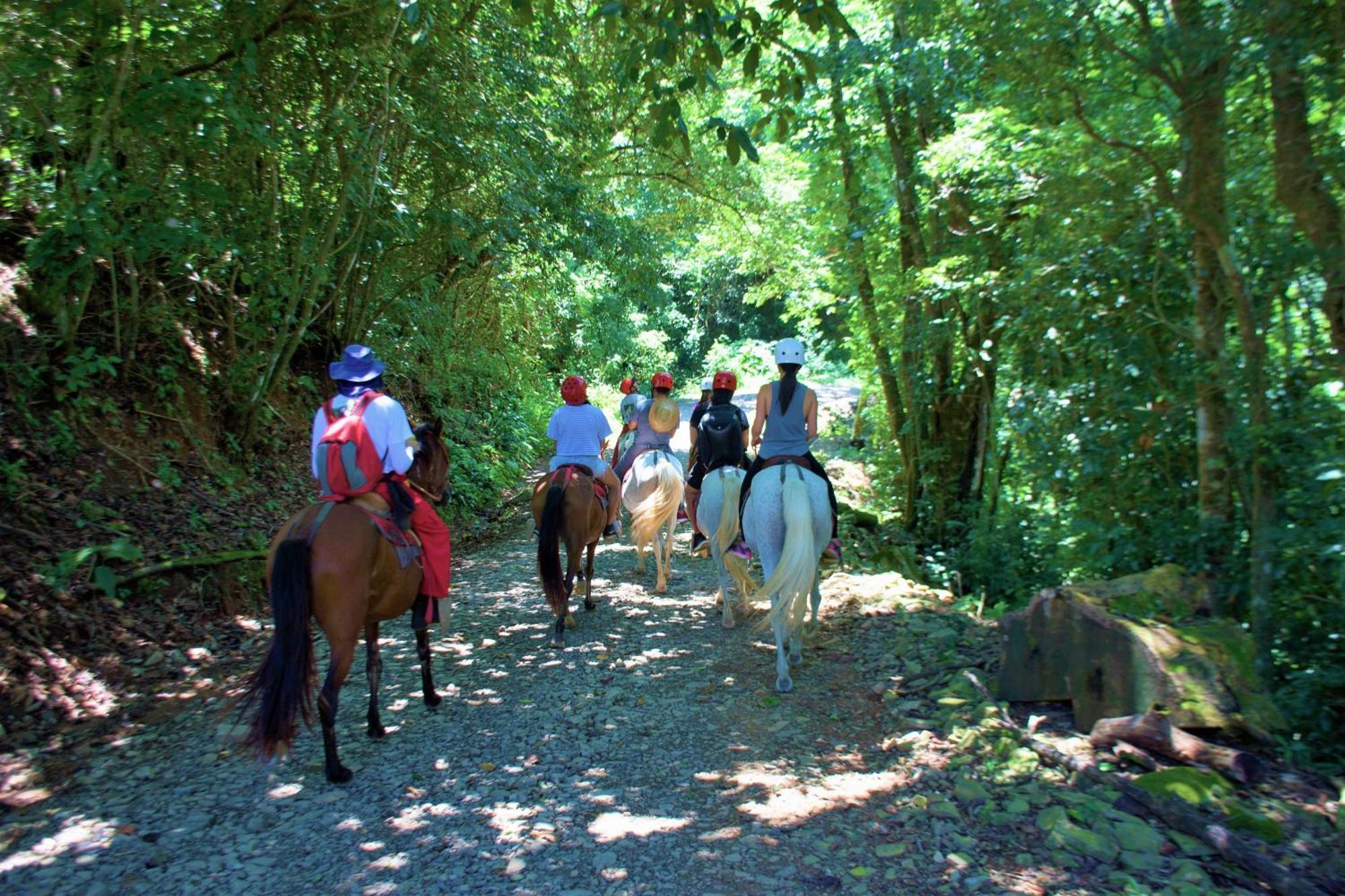 Adventure Park & Hotel Vista Golfo Tajo Alto Bagian luar foto